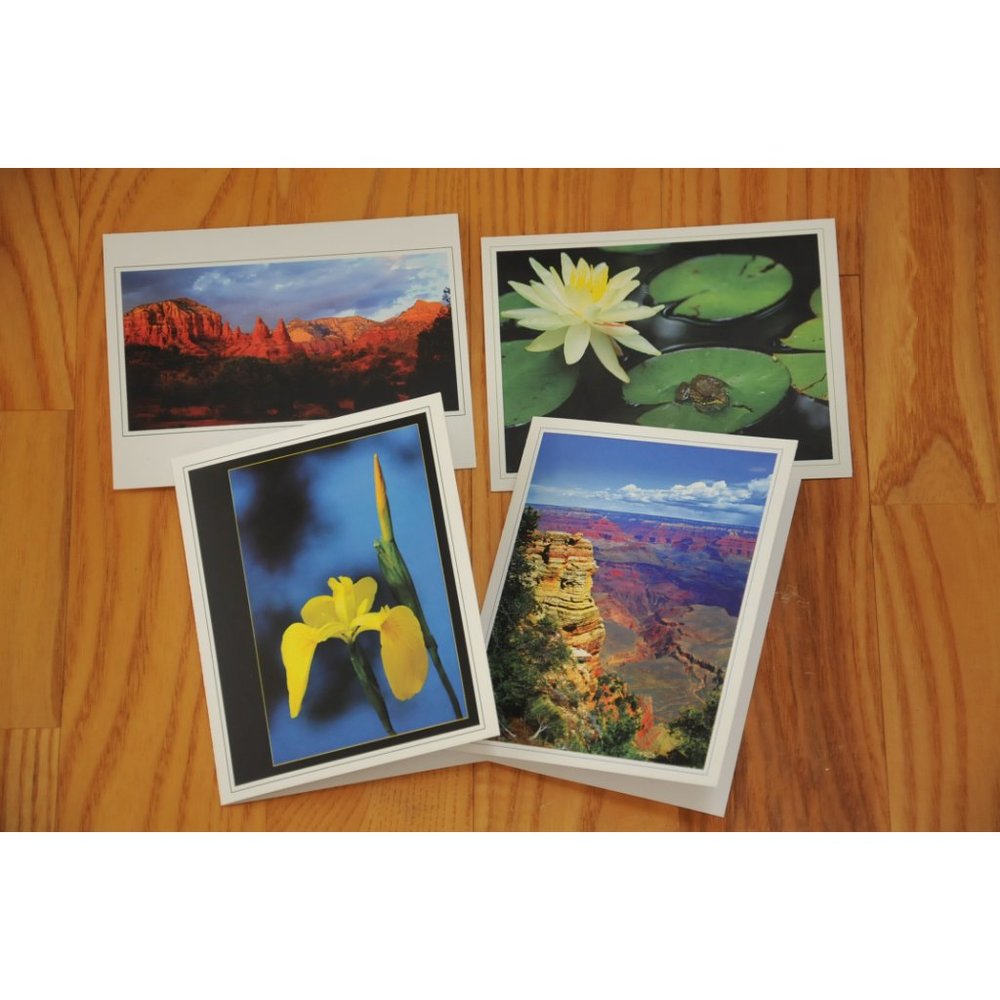 Fine Art Photography Note Cards - set of 4